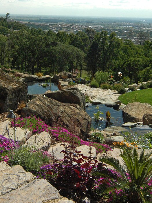 Image of the pool