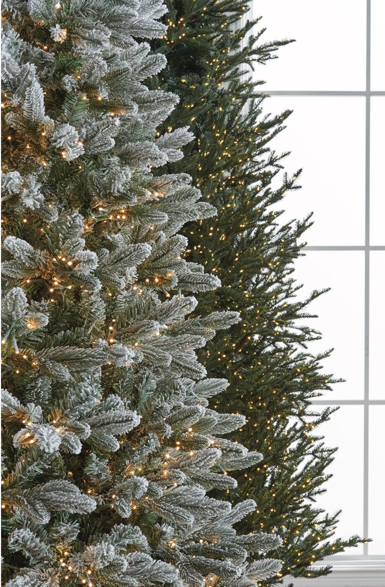 Christmas Tree Greenery Buying Guide Frontgate