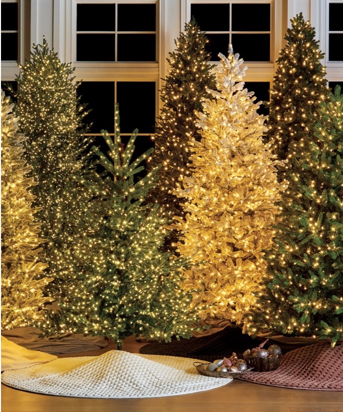 Frontgate Christmas Catalog 2022 Christmas Tree Buying Guide | Frontgate