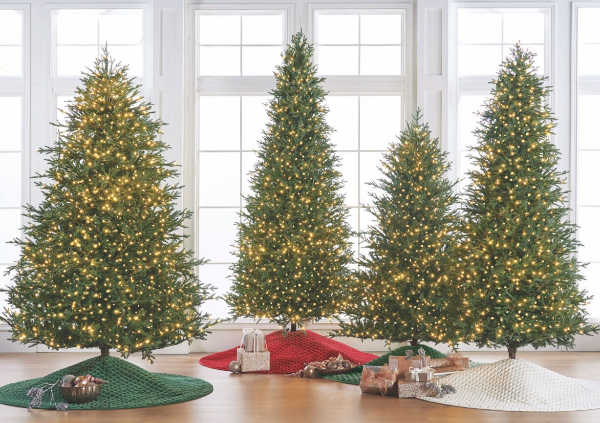 Christmas Tree Buying Guide Frontgate